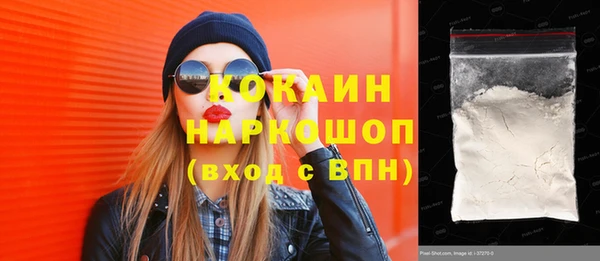 индика Армянск