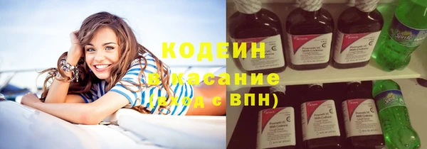 индика Армянск