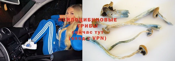гашиш Арсеньев