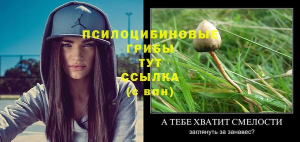 гашиш Арсеньев